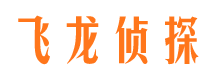 迭部侦探公司